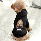 NenntBriy - Pet Suit with Hat A Dog in A Suit - Customized with photo&text
