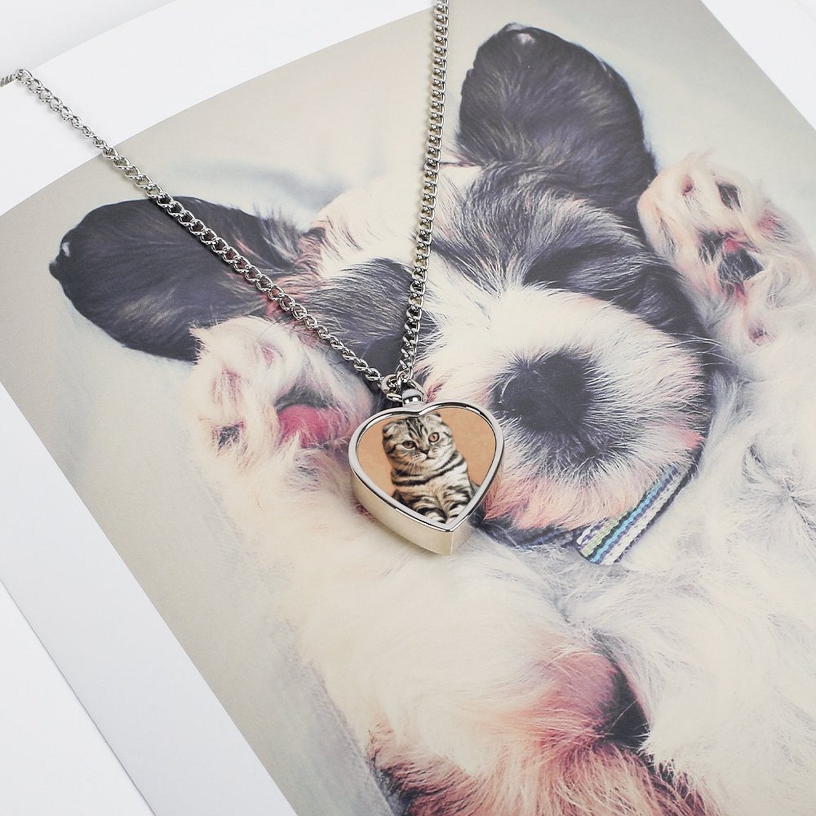 NenntBriy - Pet Urn Necklace Cat, Squat, Pet - Customized with photo&text